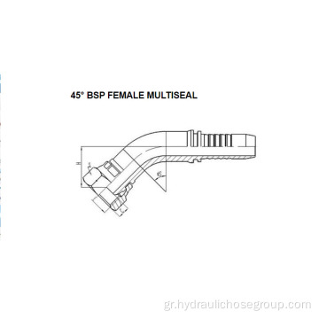 45 ° BSP Female Mutiseal 22141